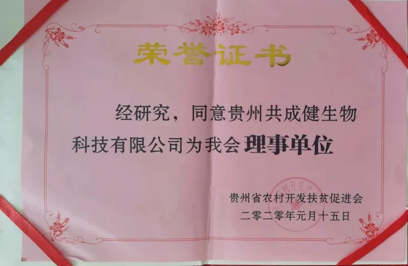获理事单位荣誉证书.jpg