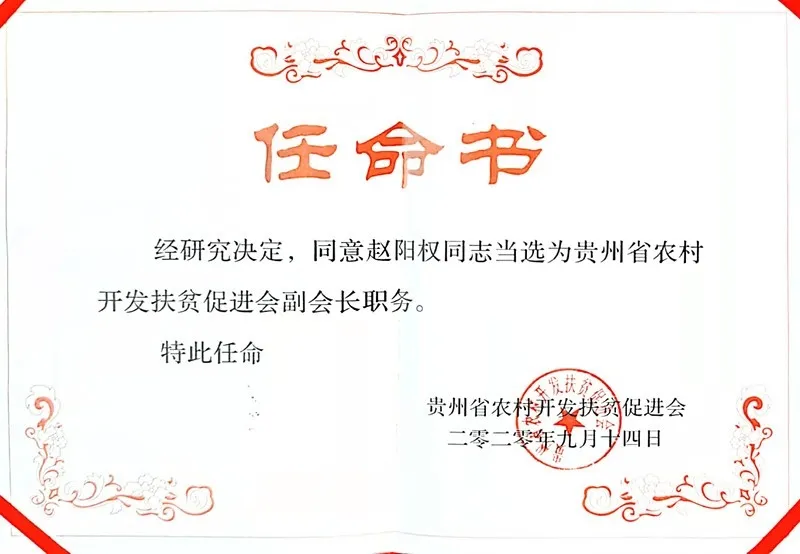 获副会长荣誉证书1.jpg