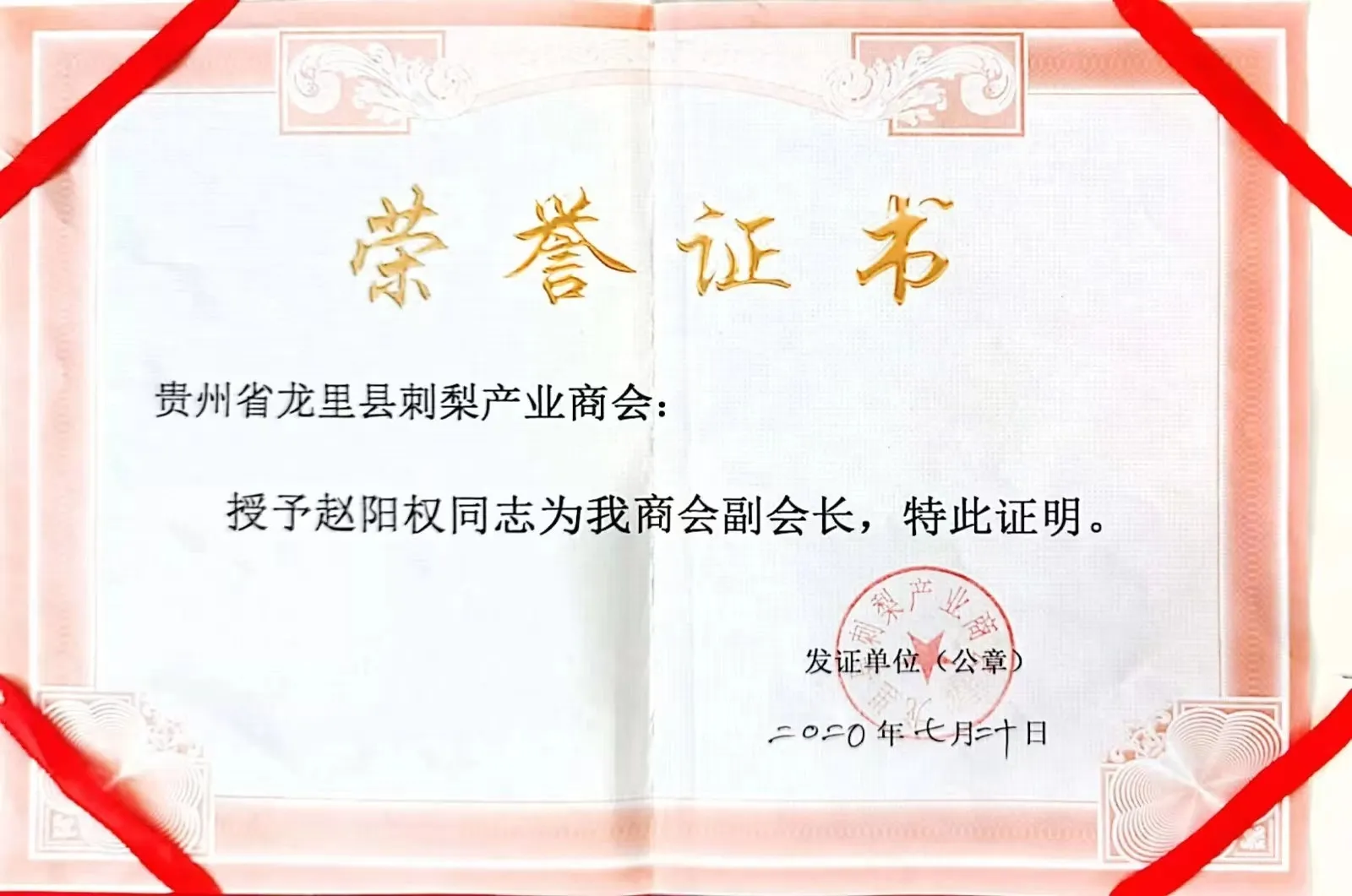 获副会长荣誉证书2.jpg