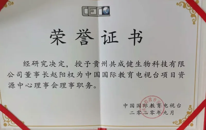 获国际教育电视台项目中心理事证书.jpg