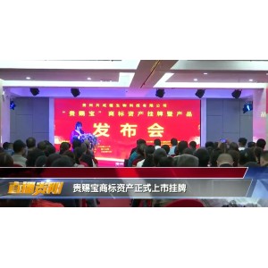 贵赐宝商标资产上市庆典视频