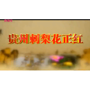 贵州刺梨名歌好花红及宣传片