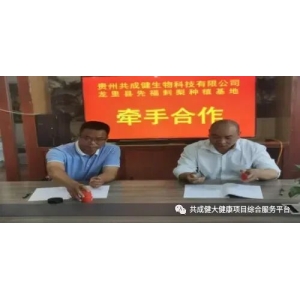 整合千亩刺梨种植基地，“贵赐宝”开创商标品牌价值新篇章