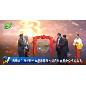 推荐丨“贵赐宝”商标资产鸣锣上市 借国家平台造商业航母奇迹